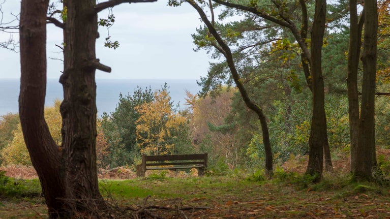 The heath in autumn at West Runton, Norfolk